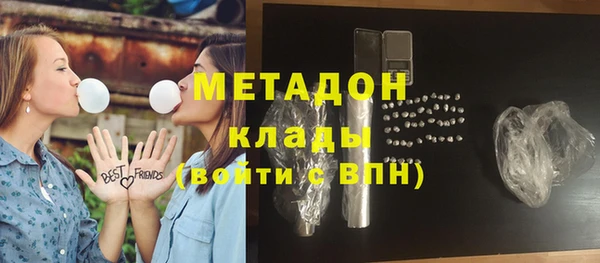 индика Алексин