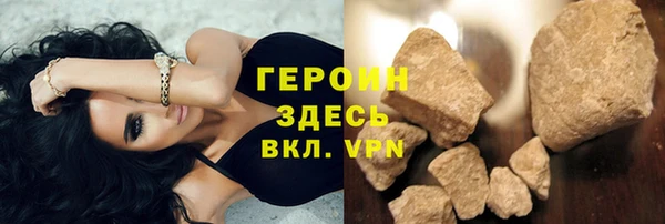 прущие грибы Новосибирск