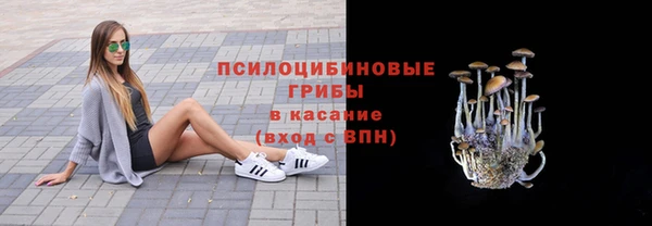 индика Алексин