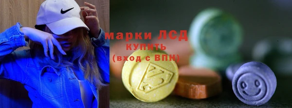 индика Алексин