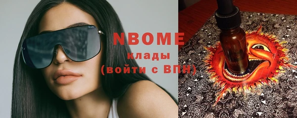 индика Алексин
