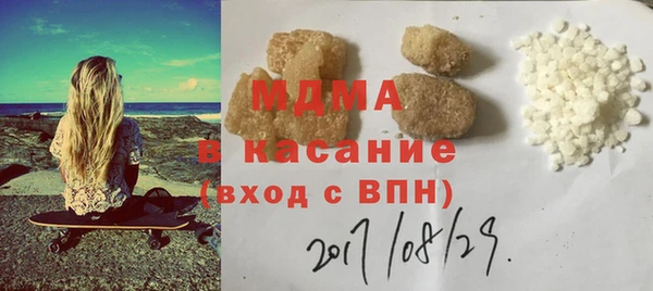 индика Алексин